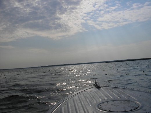 З волинського Полісся з любов’ю 