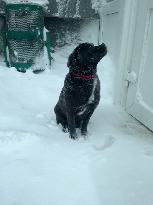 Сніжний Луцьк у неділю, або мій робочий день