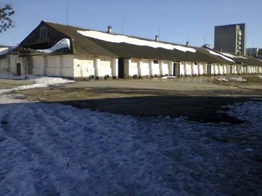 Зона відчуження Луцька