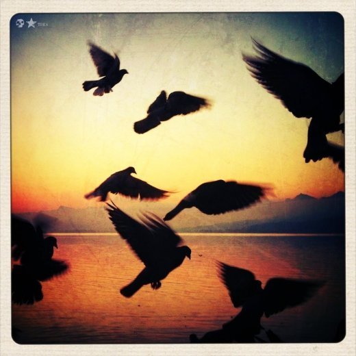 Життя прекрасне. РОЗДІЛ 12