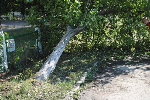 Луцьк. Постпотопельні кадри