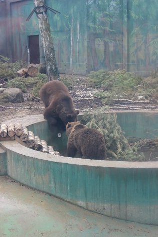 День закоханих у Луцькому зоопарку. ФОТО 