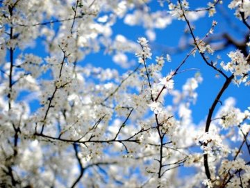 Погода в Луцьку та Волинській області на завтра, 2 квітня