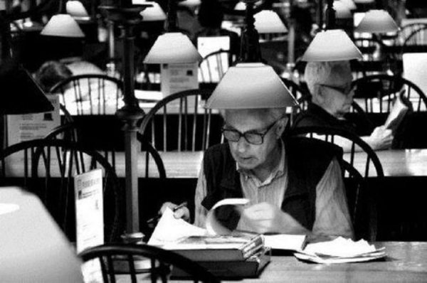 В потрібному місці і в потрібний час: вдалі кадри. ФОТО