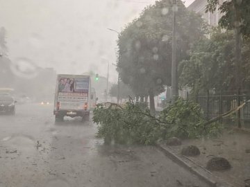 У Володимирі-Волинському вирує негода. ФОТО