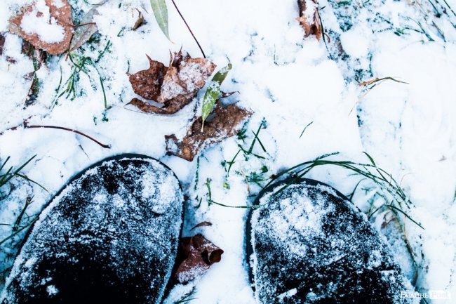 Парк 900-річчя Луцька під першим снігом. ФОТО