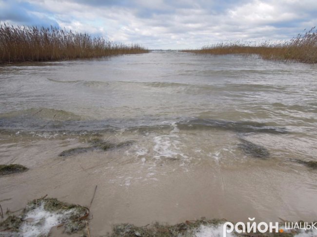Сердитий і прекрасний: опублікували фото осіннього Світязю