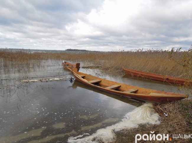 Сердитий і прекрасний: опублікували фото осіннього Світязю
