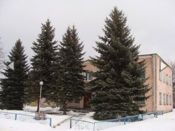 У Поворську перед адмінбудівлею зрізали 4 сріблясті ялини, які колись намагалися викупити у маєток столичного багатія