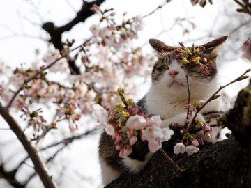 10 квітня – яке сьогодні свято та що не можна робити в цей день