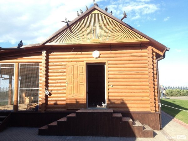 На вихідні -  у «Межигір'я». ФОТО 