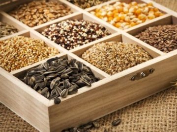 «Професійне насіння»: ваш помічник під час підготовки до нового посівного сезону*