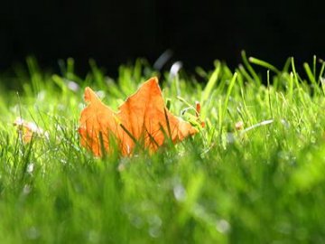 5 вересня: яке сьогодні свято, прикмети і заборони