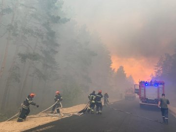 Сотні українських військових допомагають гасити лісові пожежі на Луганщині. ФОТО