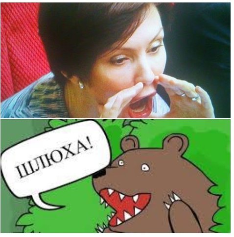 Інтернет вибухнув фотожабами на регіоналку з відкритим ротом. ФОТО. ВІДЕО