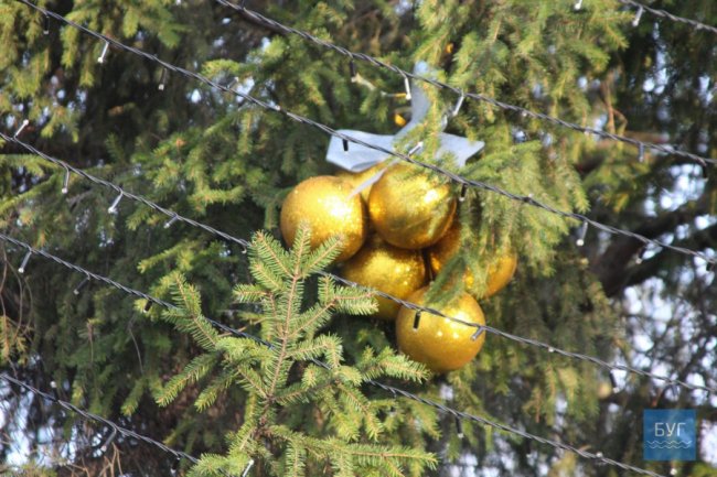 У Нововолинську прикрасили головну ялинку міста. ФОТО