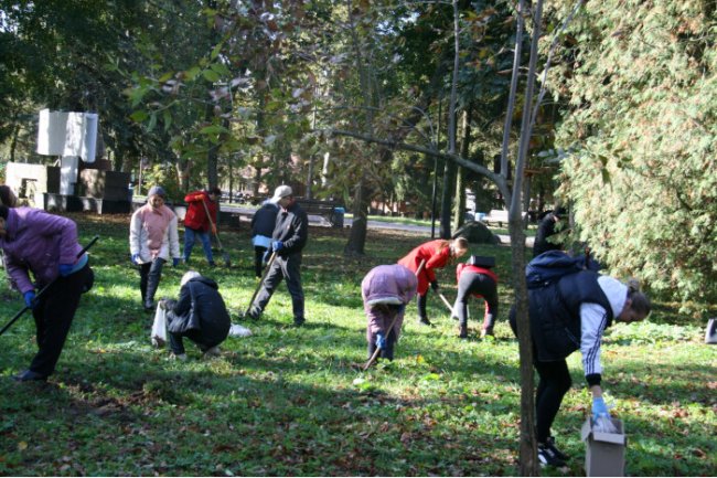 У Луцьку в парку висадили «кольоровий килим»  з первоцвітів