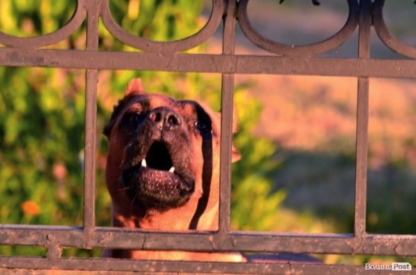 Фотопогляд: Луцьк за межами 40-го району. ФОТО