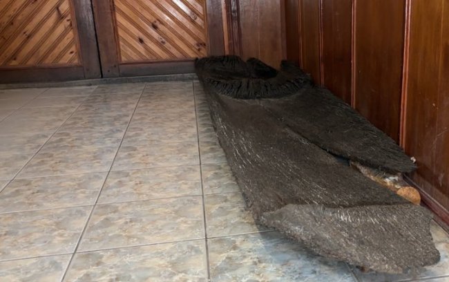 Пів тисячі років під водою: на Волині досліджують давній човен-довбанку. ВІДЕО