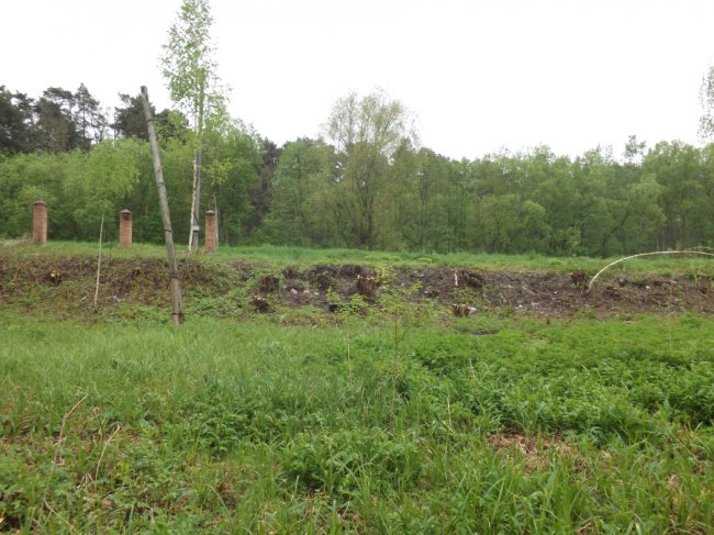 Пам'ятка природи: Цуманські джерела приведуть до ладу  та облаштують територію навколо