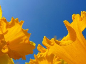 Погода в Луцьку та Волинській області на завтра, 9 квітня