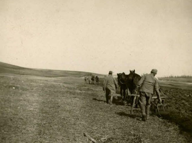 Берестечко, 1916-1917 р.