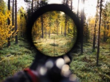 У волинському нацпарку браконьєри застрелили лося