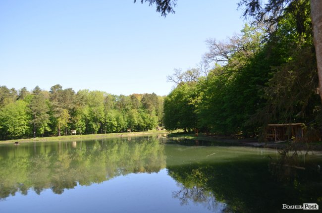 Експрес-подорож областю: на Волині – лісівники з усієї країни. ФОТО