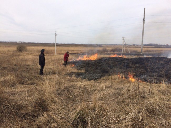 Волинського селянина спіймали на підпалі трави