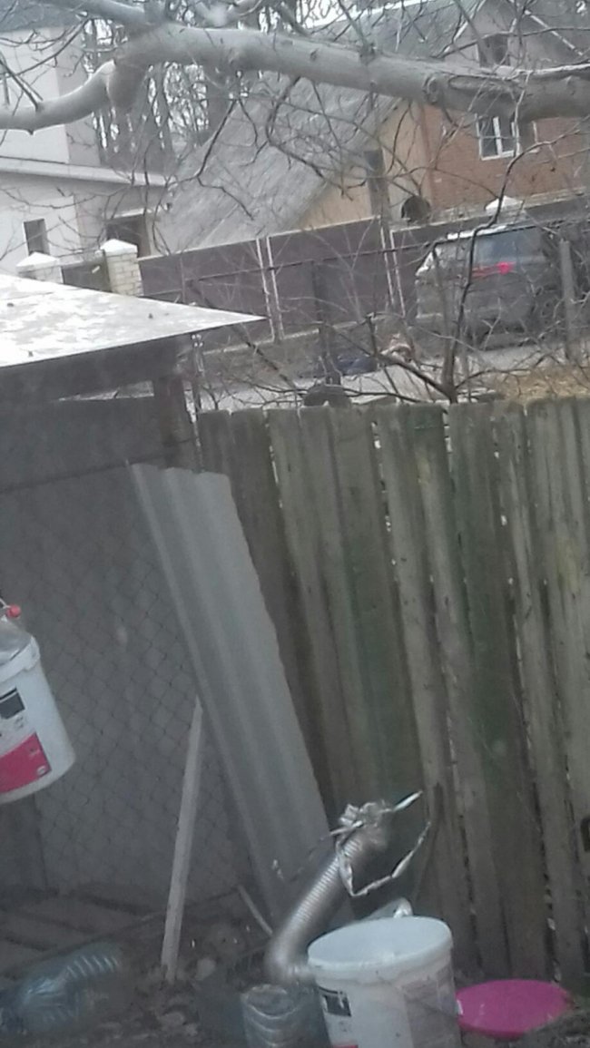 Автомобіль вбитих волонтерів і два тіла, що ще лежать поруч...