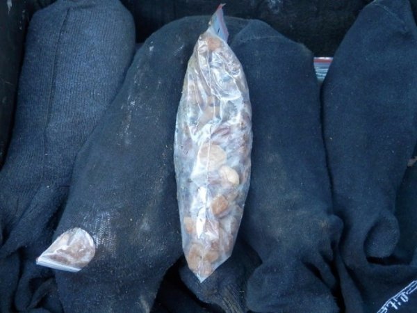 Чергову партію «сонячного каміння» затримали на Волині