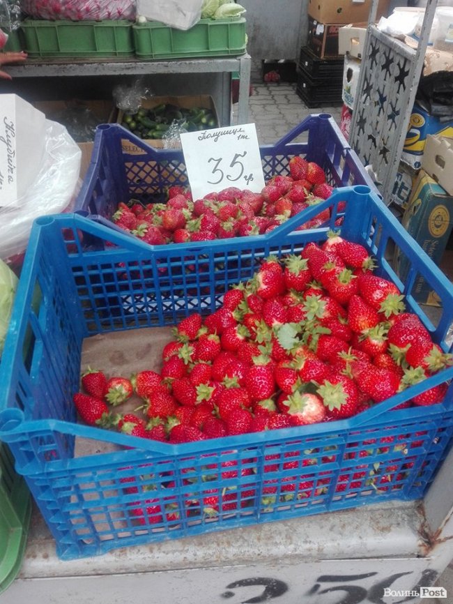 Від і до: скільки коштує перша черешня на луцькому ринку. ФОТО