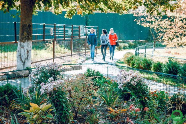 Жовтогаряча осінь у Луцькому зоопарку. ФОТО