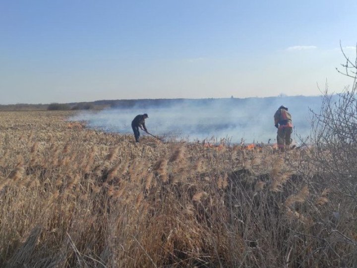 Найбільше паліїв сухої трави на Волині - у Ковельській громаді