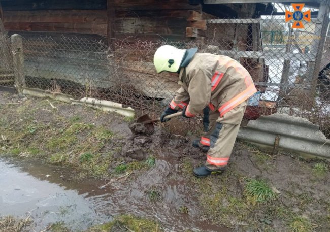 Майже 20 рятувальників допомагали людям відкачати воду з підтоплених дворів. ФОТО