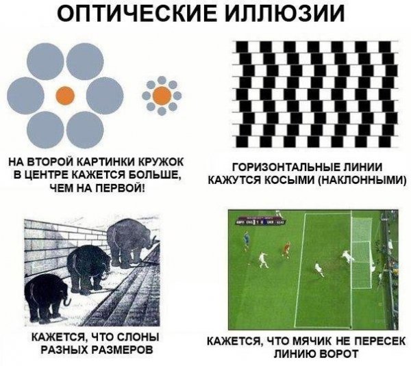 Кращі інтернет-жарти про Євро-2012. ФОТО. ВІДЕО