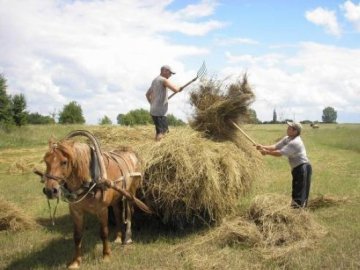 Українські селяни можуть залишитися без пенсій