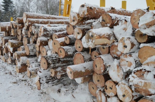 Волинський лісгосп запустив нову сучасну лінію з переробки деревини. ФОТО