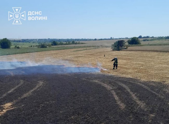 На Волині горіло пшеничне поле. ФОТО