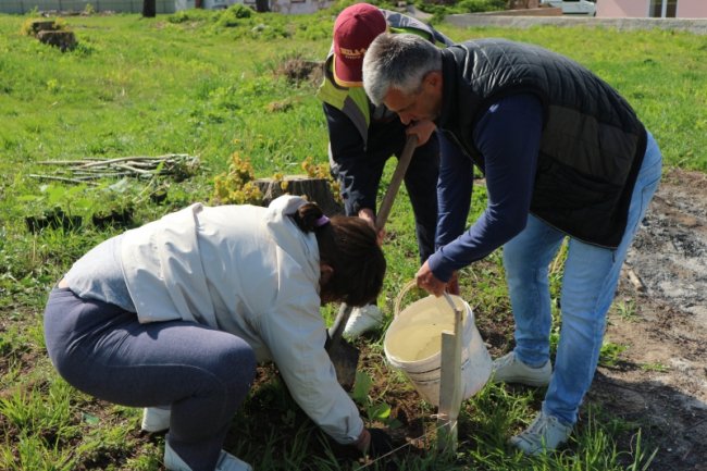 У громаді поблизу Луцька випускники заклали біля школи сад з екзотичних дерев. ФОТО