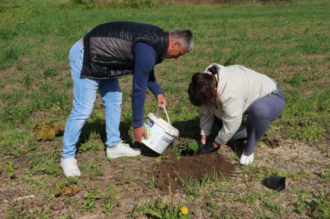 У громаді поблизу Луцька випускники заклали біля школи сад з екзотичних дерев. ФОТО
