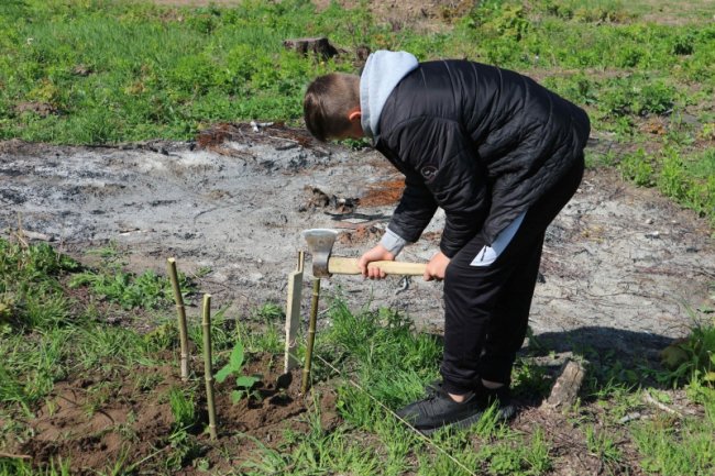 У громаді поблизу Луцька випускники заклали біля школи сад з екзотичних дерев. ФОТО