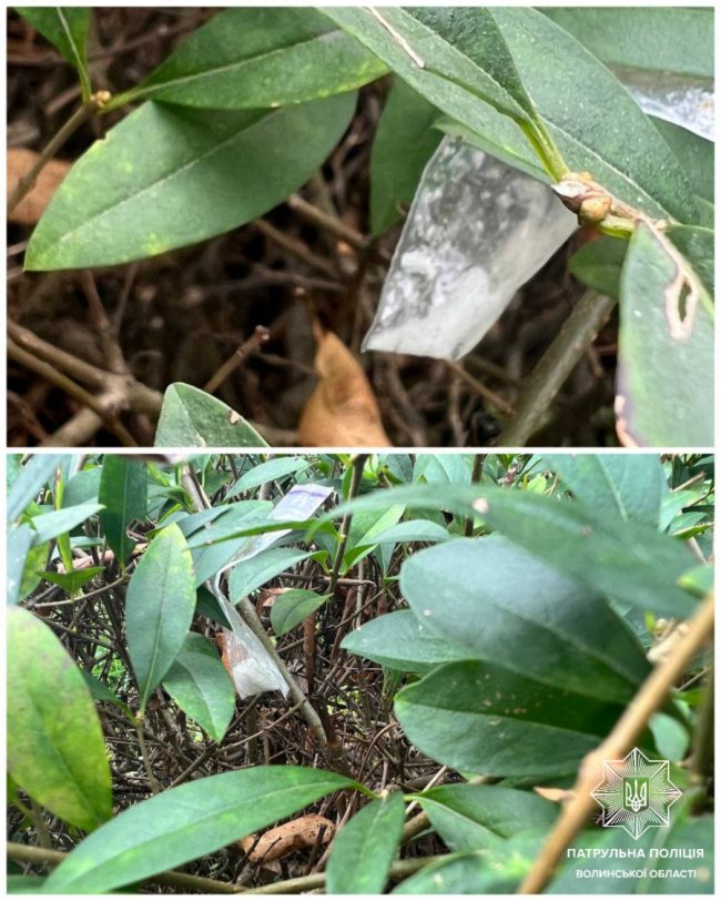 Ховав у торбинці з цукерками: у Луцьку затримали двох чоловіків з наркотиками