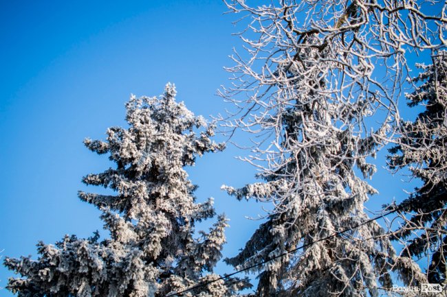 Луцьк – у кришталевій паморозі: казкові світлини різдвяного ранку. ФОТО
