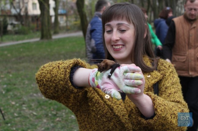 У Володимирі-Волинському випустили на волю 90 врятованих кажанів. ВІДЕО