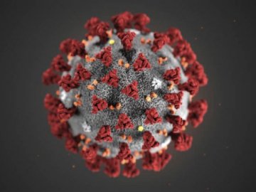 Як відрізнити коронавірус від грипу