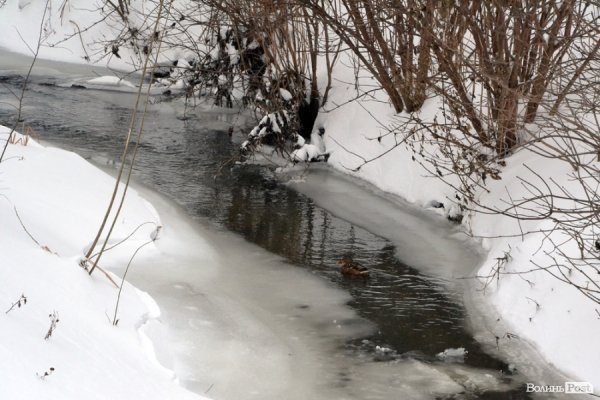 Лютий лютує: фото зими в Луцьку