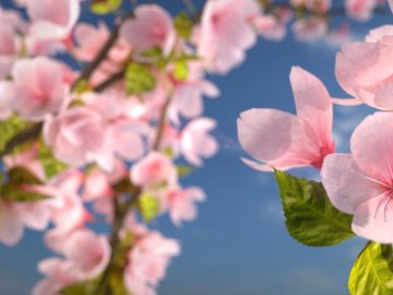 Погода у Луцьку та Волинській області на завтра, 6 травня