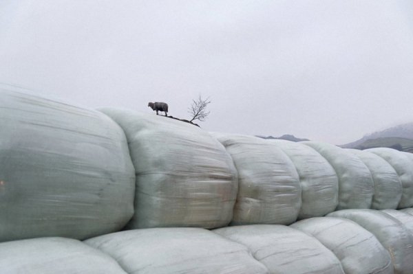 Кумедні стріт-фото Нільса Йоргенсена