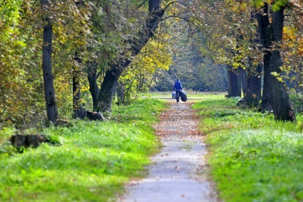 «Бабине літо» і «бебі-бум» Луцьку. ФОТО